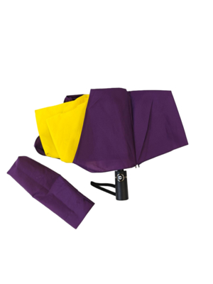 Creatief 23 inch onregelmatige speciale vorm vouwparaplu