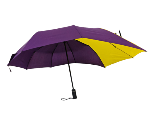 Creatief 23 inch onregelmatige speciale vorm vouwparaplu