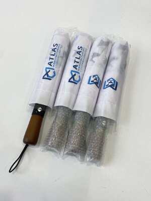 Houten paraplu 23 inch lichtgewicht 3-vouw paraplu