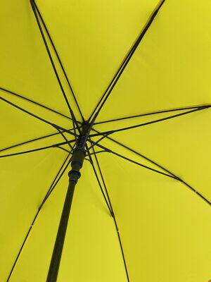 190T Pongee Stof Golf Paraplu's Met Metalen en Glasvezel Ribben Custom Design Ideaal voor Golfbanen en Marketing