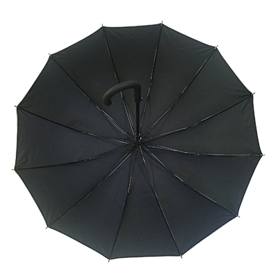 Diameter 105cm 12 Ribben Auto Open Paraplu met UVdeklaag